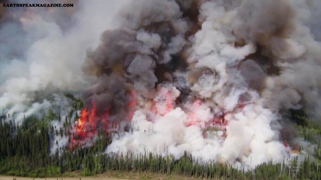 ไฟป่า ในแคนาดาทำลายสถิติพื้นที่ที่ถูกเผา ไฟป่าที่โหมกระหน่ำทั่วแคนาดาได้ทำลายสถิติของพื้นที่ทั้งหมดที่ถูกเผาไปแล้ว จำนวนผู้ถูกบังคับให้อพยพ